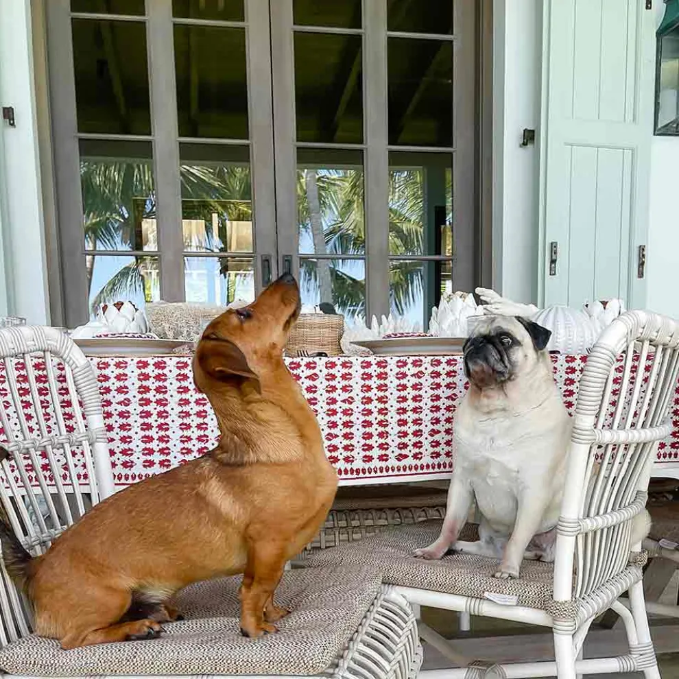 India Hicks Home Pageant tablecloth
