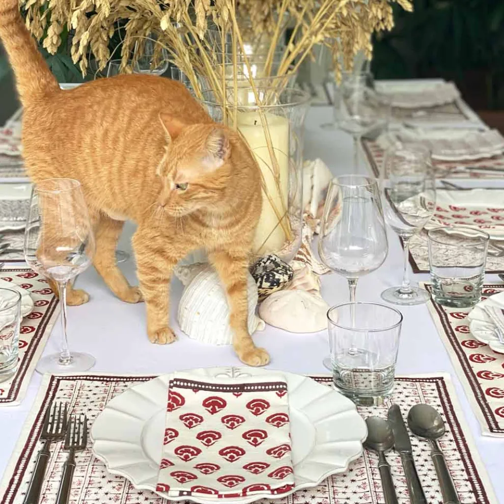 India Hicks Carnations Napkins